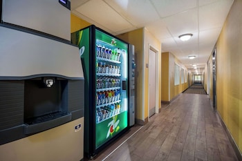 quality inn and suites bozeman