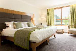 champneys springs