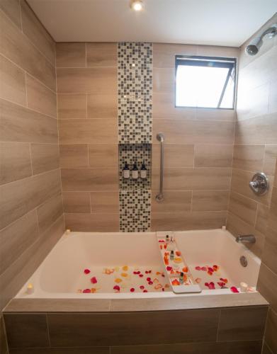 embassy suites by hilton bogota rosales