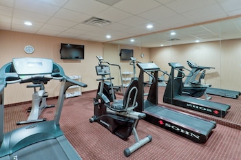 Holiday Inn Express Hotel & Suites Ashtabula-Geneva By Ihg,Austinburg>>Ashtabula,3 star