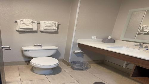 holiday inn express hotel and suites ashtabula geneva by ihg