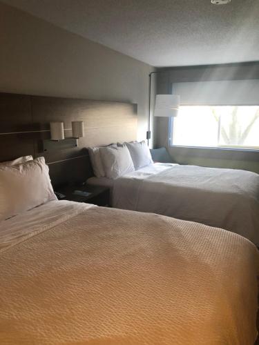 Holiday Inn Express Mt Vernon By Ihg,Knox>>Bellville,3 star