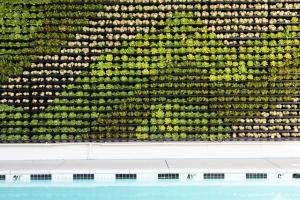 short stories hotel