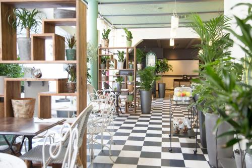 ibis paris tour eiffel cambronne 15eme