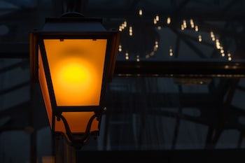 who windsor hotel opera