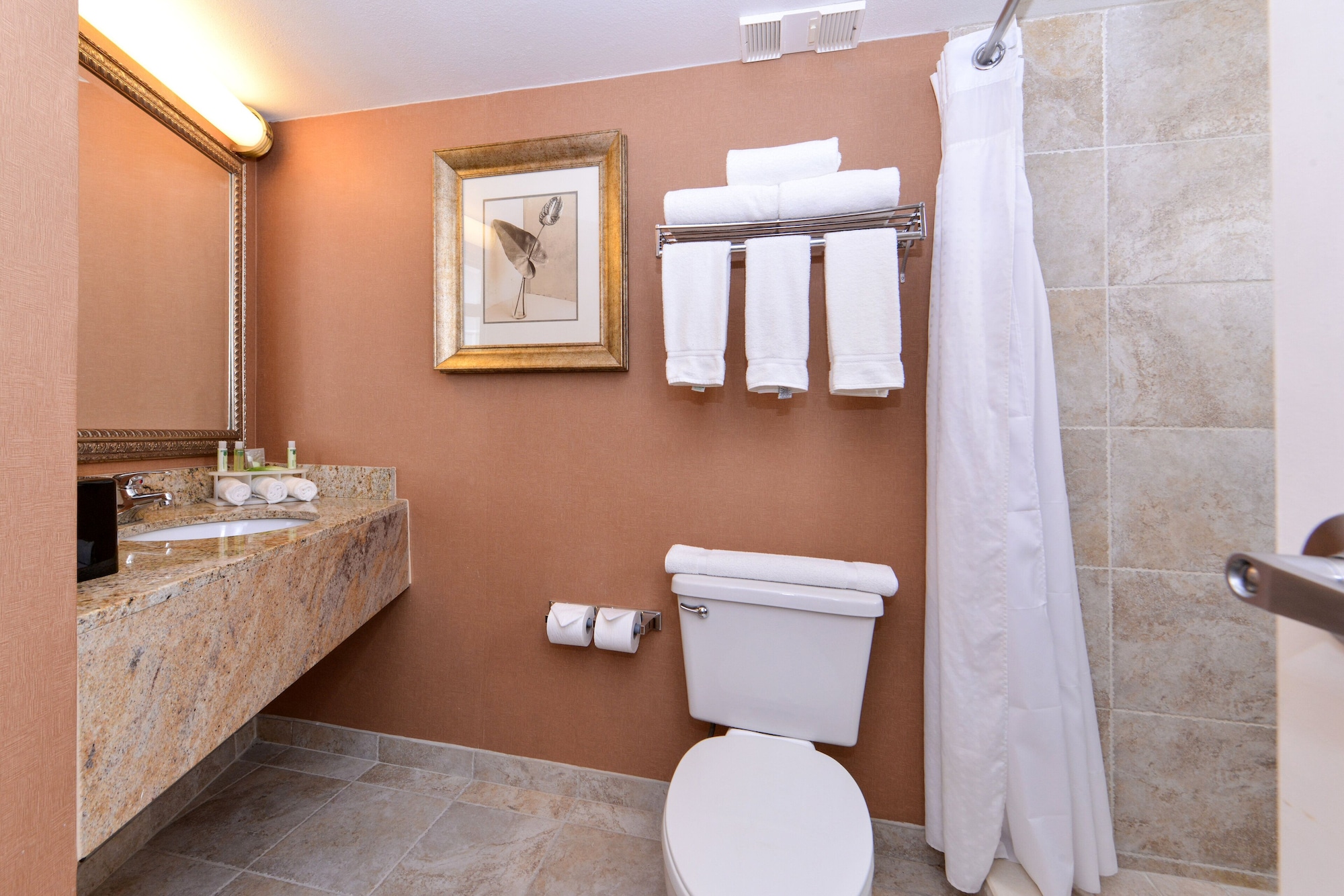holiday inn express clearwater east icot center by ihg