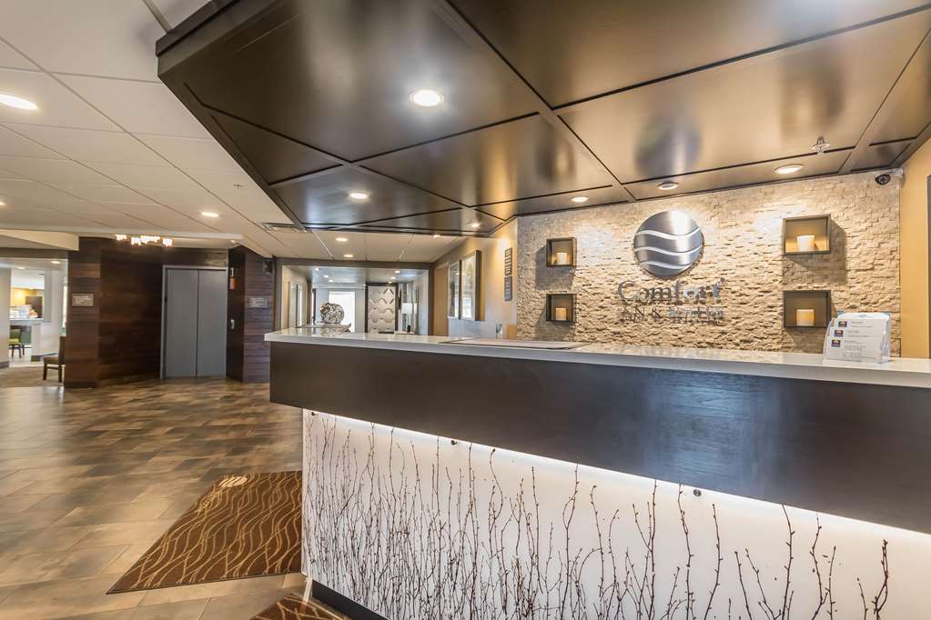 comfort inn and suites