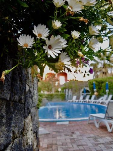 hotel regina palace terme