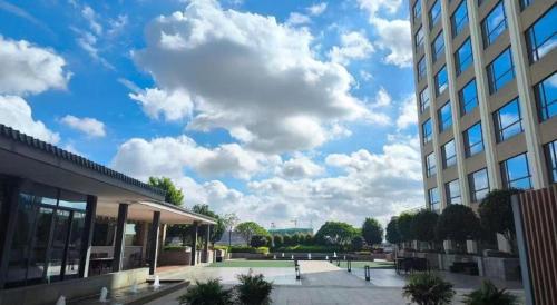 rising dragon international hotel