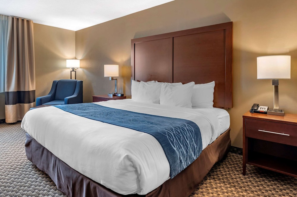 comfort inn and suites