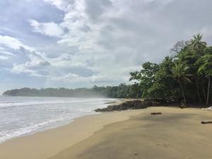 le cameleon hotel