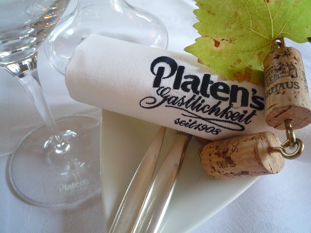 rhein hotel nierstein