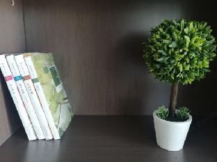 homeinn plus shijiazhuang zhengding airport