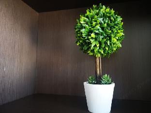 homeinn plus shijiazhuang zhengding airport