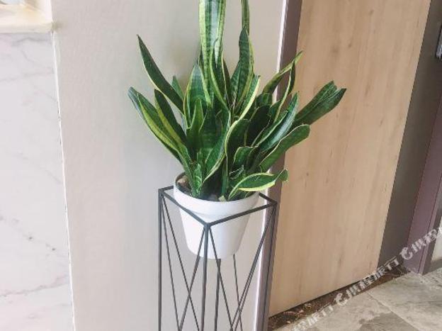 home inn neo xuzhou yunlong wanda dezheng road store