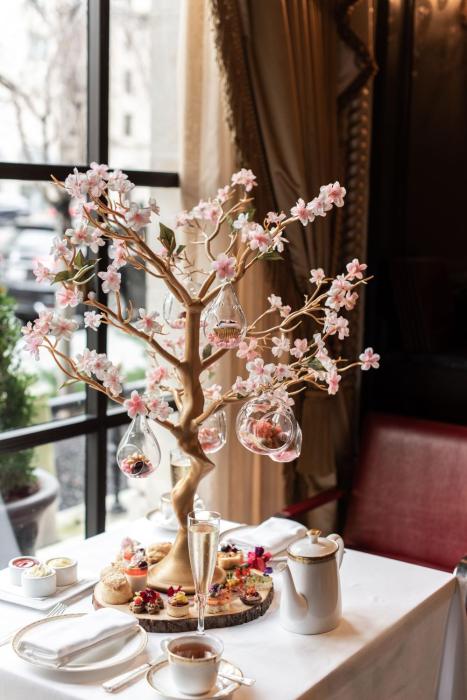 the st regis washington d c