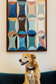 the artmore hotel closed