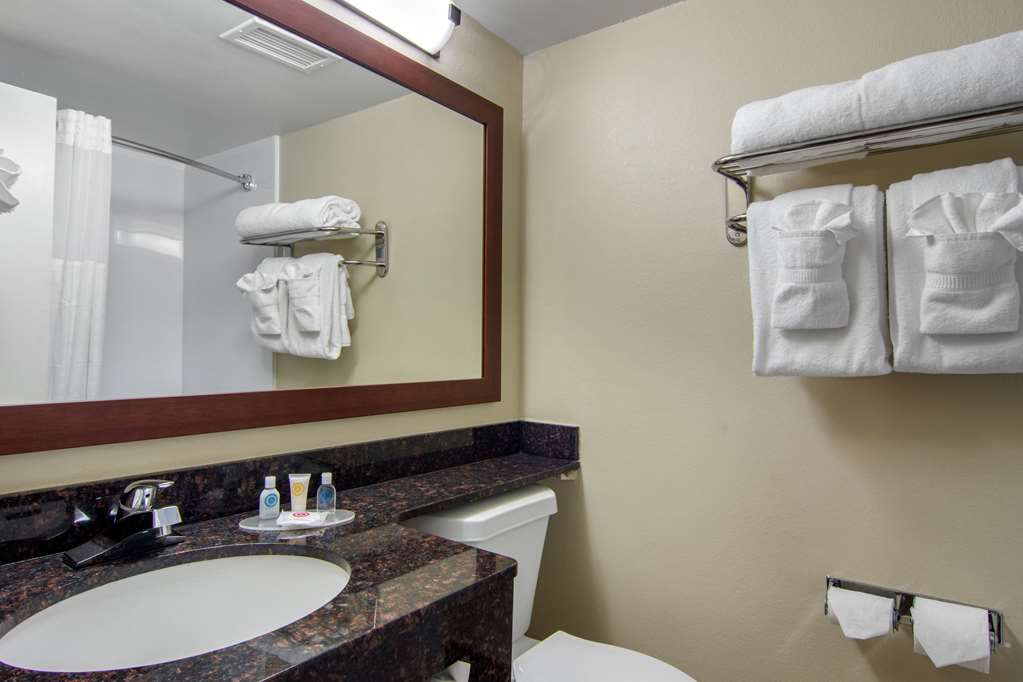 comfort inn sandy springs perimeter