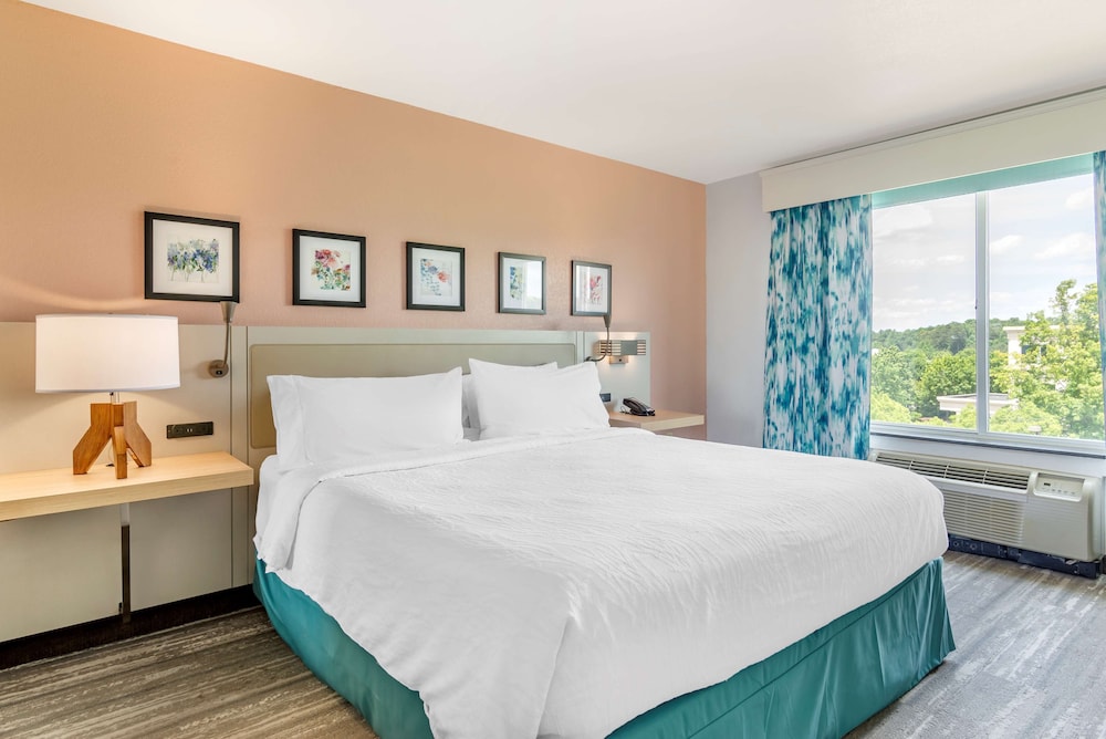 hilton garden inn atlanta ne gwinnett sugarloaf