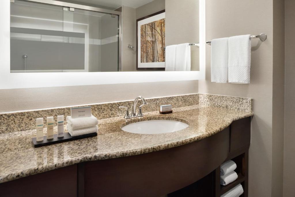 embassy suites by hilton alpharetta halcyon