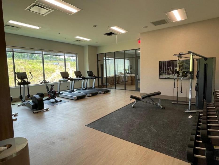 embassy suites by hilton alpharetta halcyon