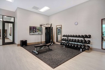embassy suites by hilton alpharetta halcyon