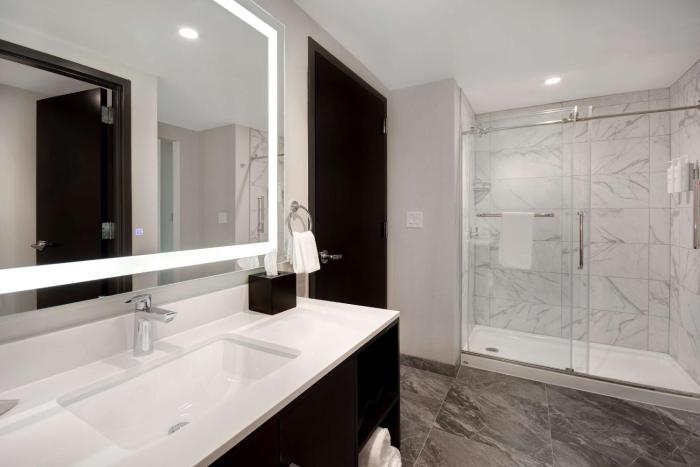 embassy suites by hilton alpharetta halcyon