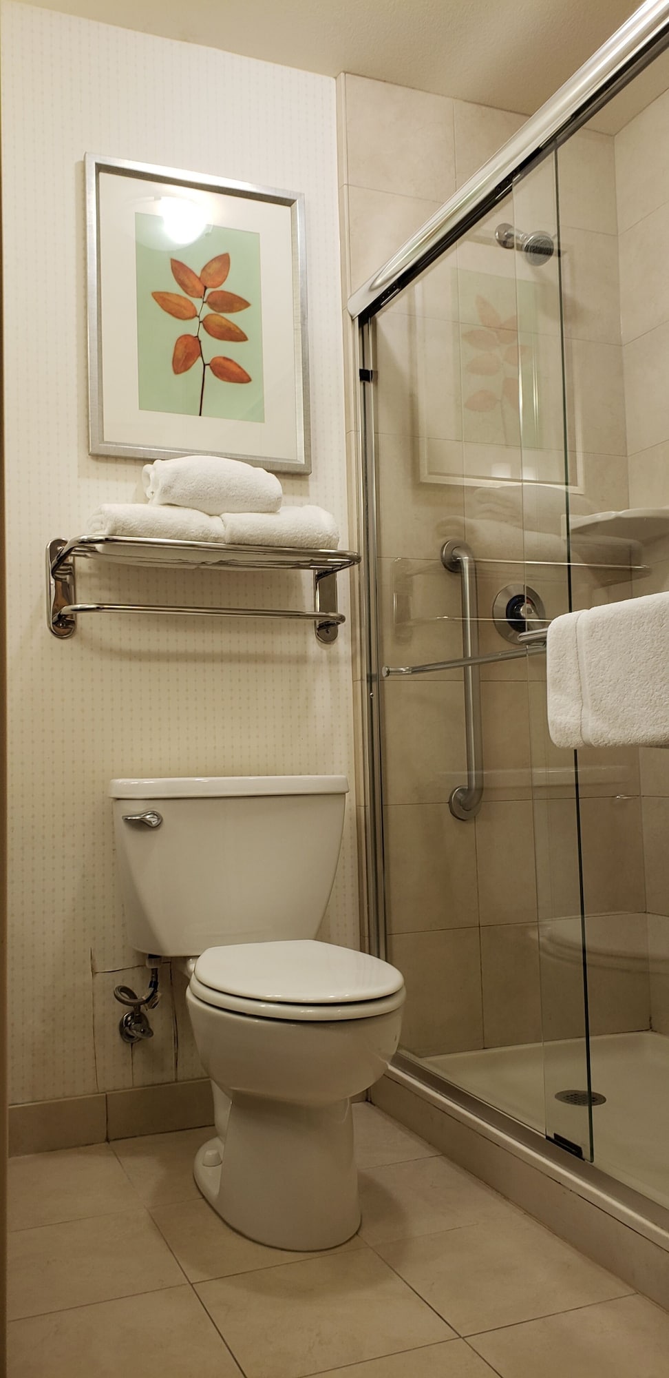 hilton garden inn san bernardino