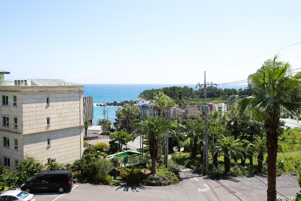 jeju port avenue hotel and resort