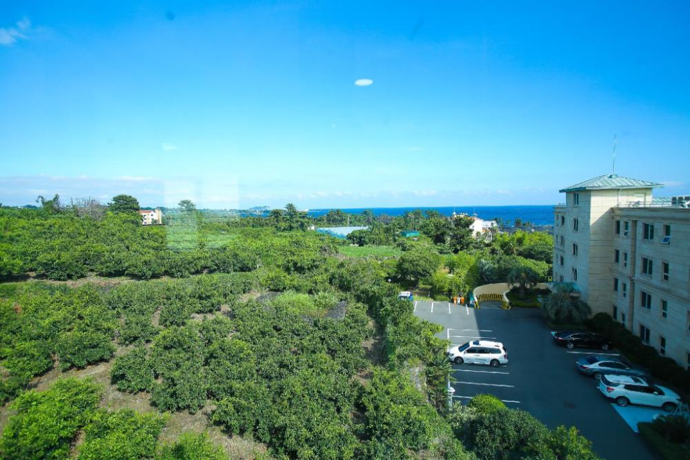jeju port avenue hotel and resort