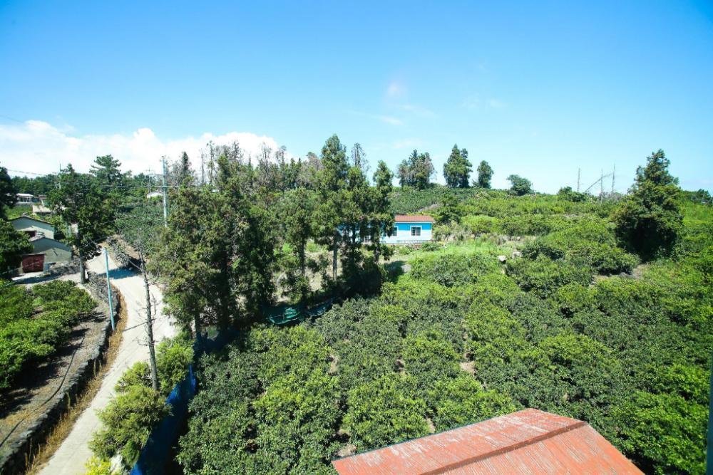 jeju port avenue hotel and resort