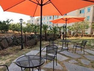 jeju port avenue hotel and resort