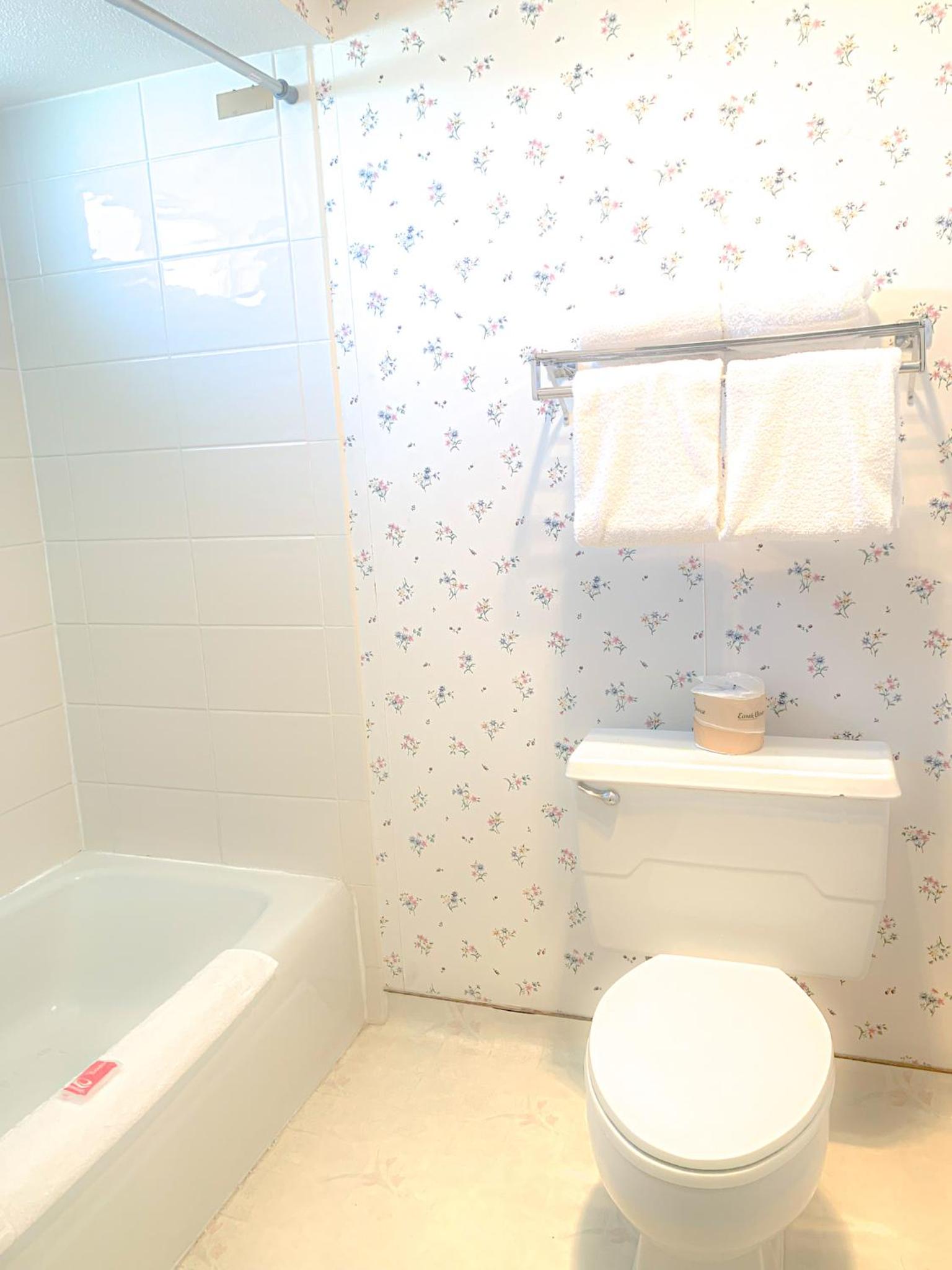 econo lodge inn and suites