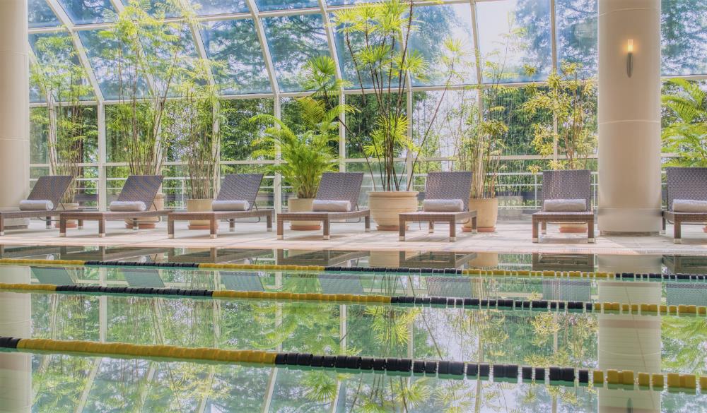 mayfield hotel seoul