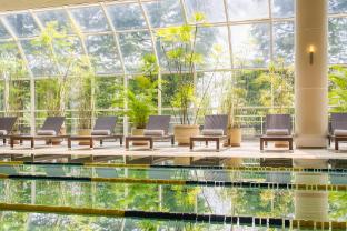 mayfield hotel seoul