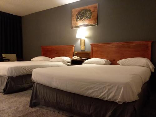 americas best value inn laramie