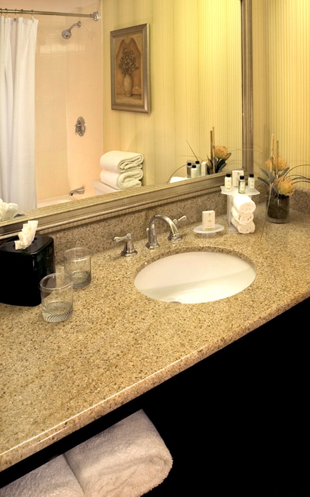 embassy suites by hilton fort lauderdale 17th street