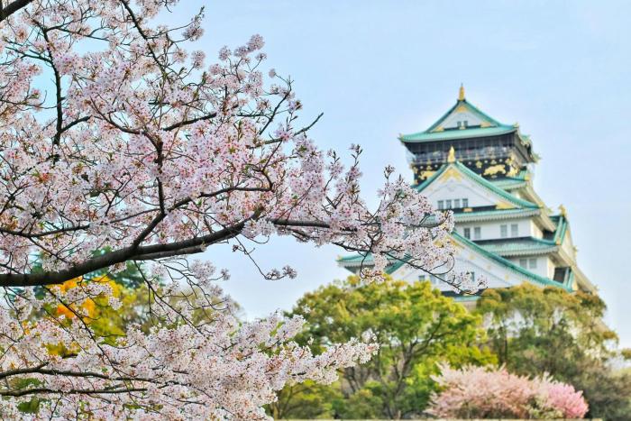 rihga royal hotel osaka vignette collection by ihg