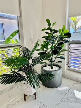 nadi