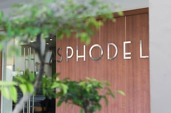 asphodel inn singapore