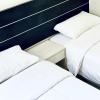 asphodel inn singapore