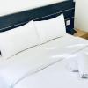 asphodel inn singapore