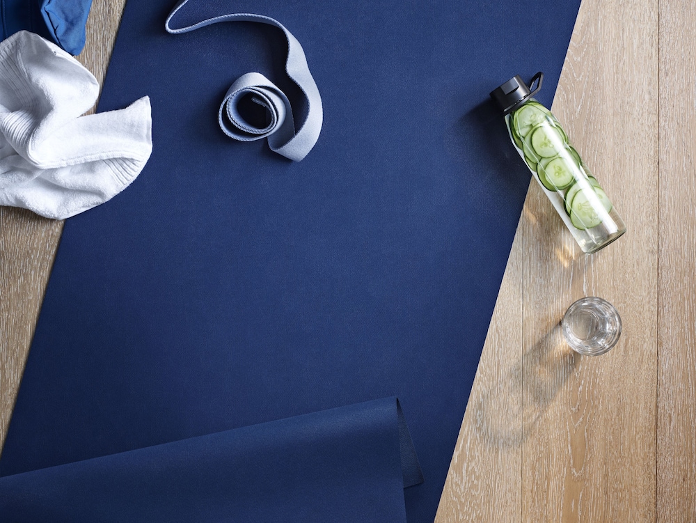 sheraton metairie new orleans hotel