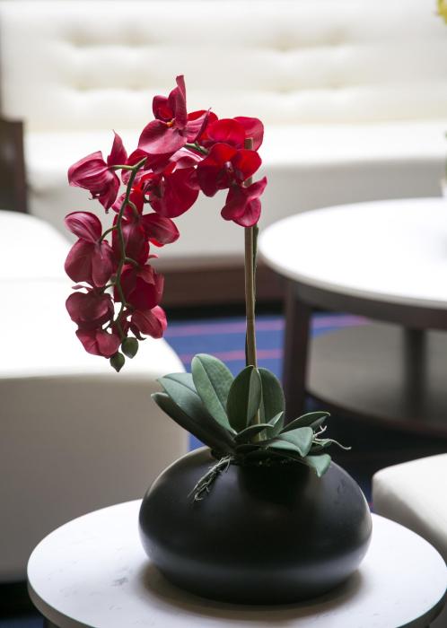 bay club hotel and marina