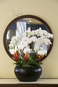 bay club hotel and marina