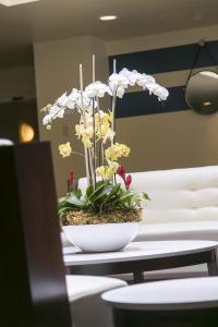 bay club hotel and marina