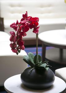 bay club hotel and marina