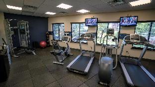 hampton inn carlstadt at the meadowlands