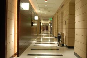 tulip hotel apartment