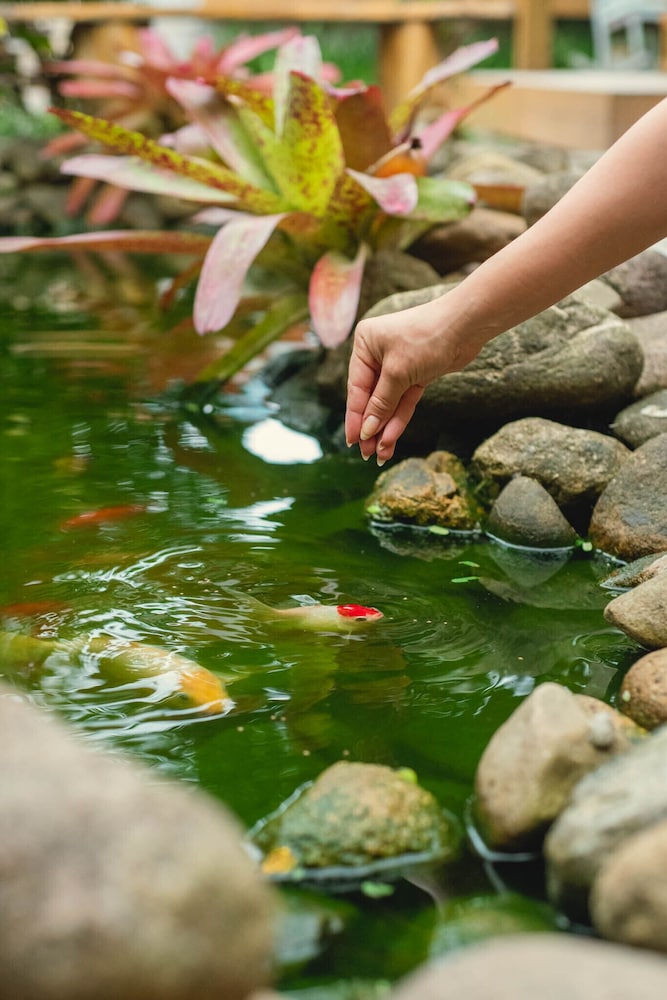 imbituba